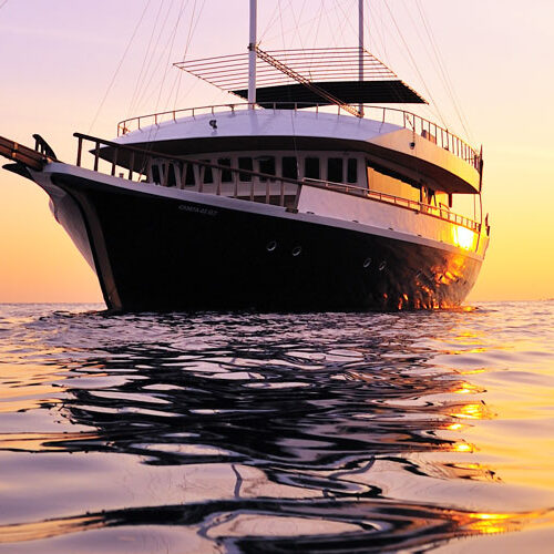 Viajes en barco y mini-cruceros