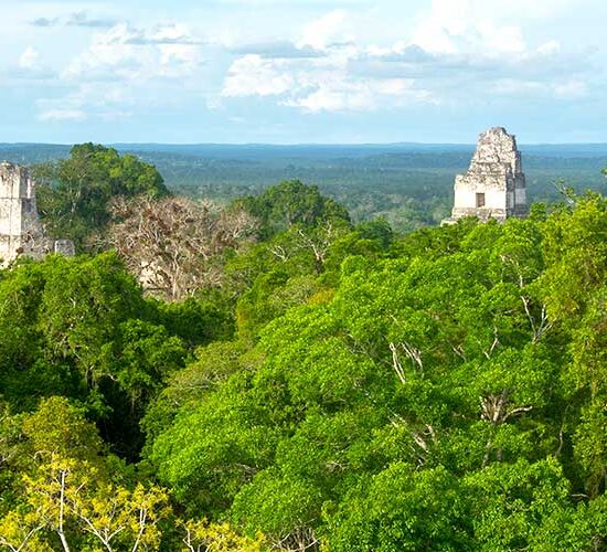 guatemala Tikal Cresterias MAR