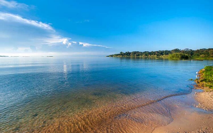 uganda lake victoria PIX