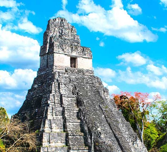 guatemala tikal gob
