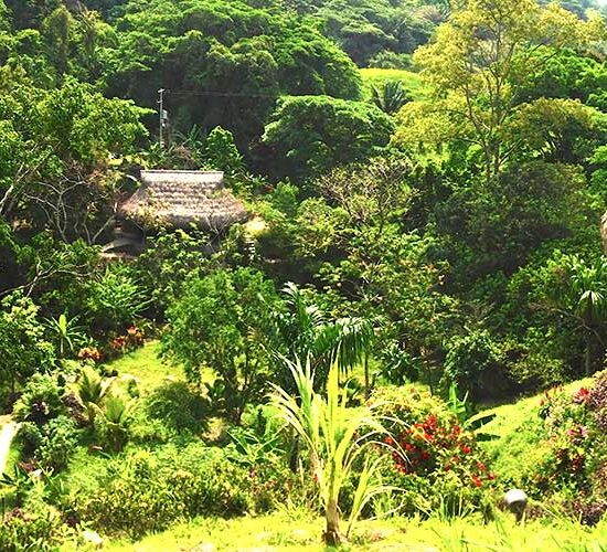 Colombia Tayrona portada FEDE