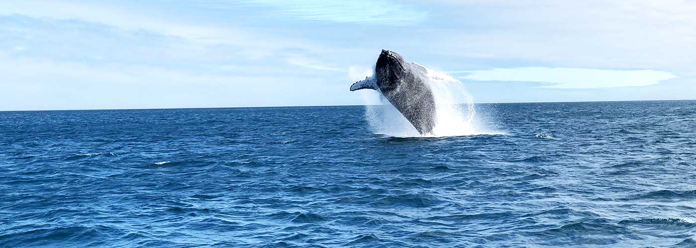 Viaje a Ecuador y Galápagos